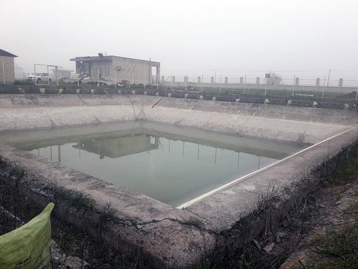 تصویر آژاکسی